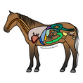 Load image into Gallery viewer, Equine Energetic Body Scan