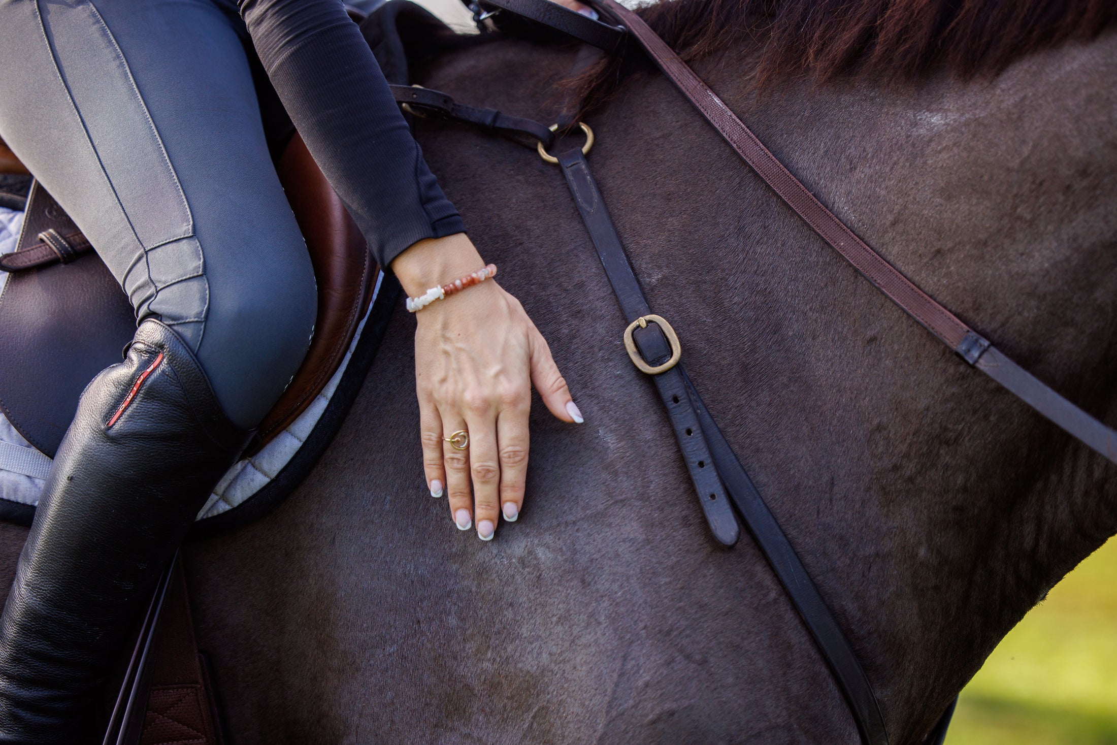 Connection Bracelet-Bridle Charm Set