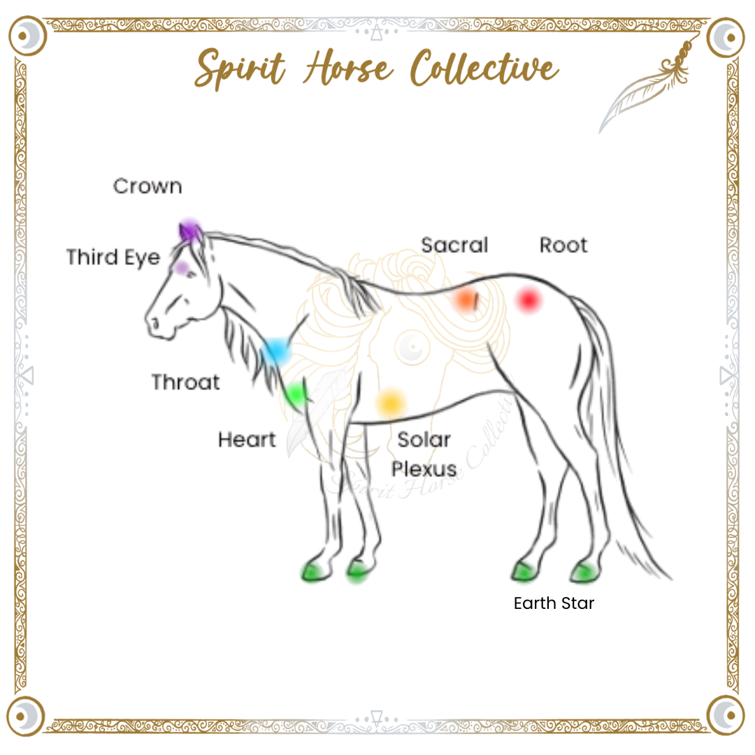 Equine Energetic Body Scan