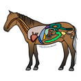 Load image into Gallery viewer, Equine Energetic Body Scan
