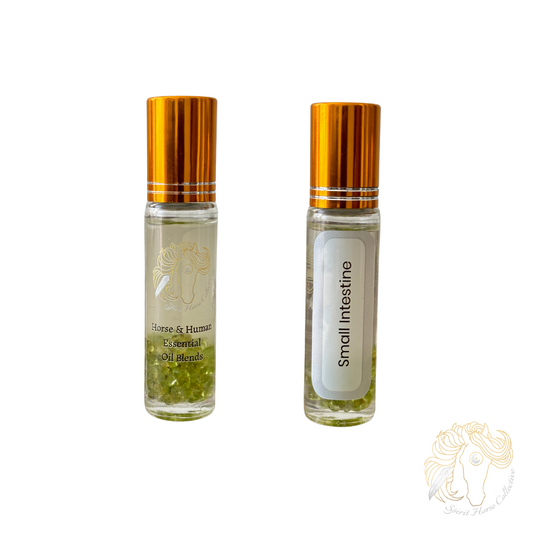 Small Intestine Essential Oil Roll-On