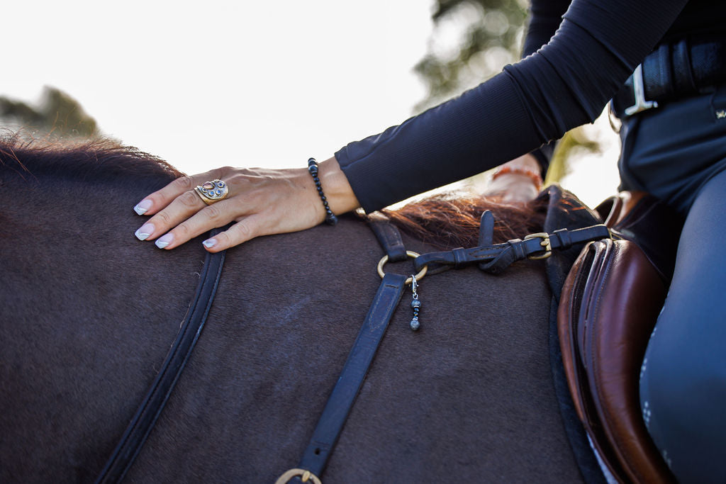 Equine Performance Alignment Talisman Set