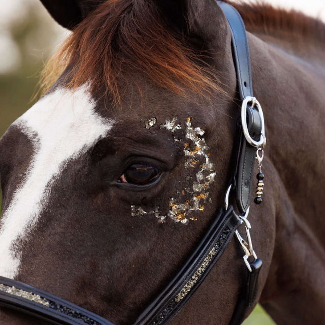 Mirror Wisdom Equine Talisman Set