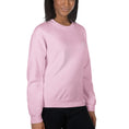 Load image into Gallery viewer, Professional Pony Petter Sweatshirt
